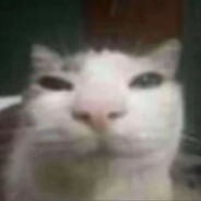 25时，nightcord见