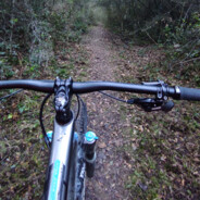 neoshane87 's avatar