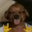 SATOSHI's avatar