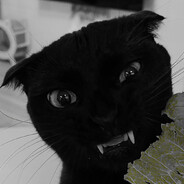 monëy so big