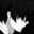 ✪DΣX