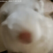 shishka avatar