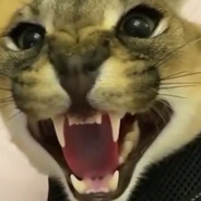 Hecker [MICROSOFT CEO]