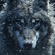 ShinWolf