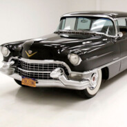 山高狐狸野八重是我姐