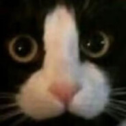 avatar Hungyuer