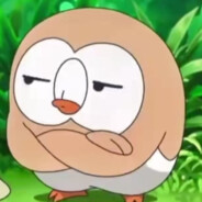 红烧牛屎粑粑