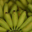 BananaWithASuit