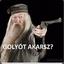 Don Dumbledore