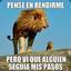 Serrano Codiciado &lt;3