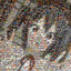 xaspurr
