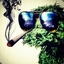 The Grouch