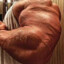 kelsey plumbs biceps