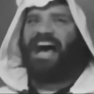 翻斗花园大帅比胡英俊