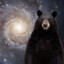Space Bear