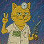 Dr. Play of the cat