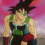 Bardock