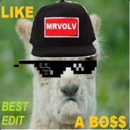 ПяткаСлона