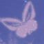 sweetener