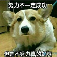 紫尾猫