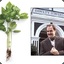 basilorbasil's avatar