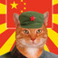 Chairman Meow