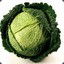 Cabbage