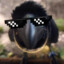 CrowButSwag