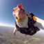 GALLO