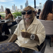visa's avatar