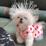 不要靠近会坐牢