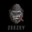 Zeezir