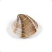 xrla avatar