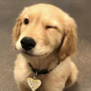 修勾有什么烦恼