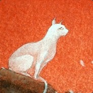 装比过度 avatar