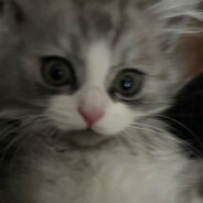 西伯利亚泰坦巨龙单手捏爆小行星