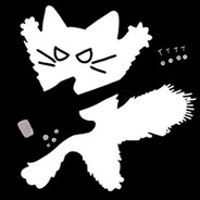 raccoon Steam avatar
