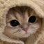beepboopx3