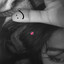 Camm mg
