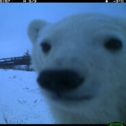 hozyanchik - steam id 76561199801674107