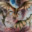 3 dragons