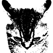 Сiбiрсkое Hе4чtо avatar