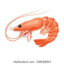 shrimp