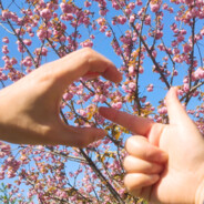 落花微雨欲沾衣