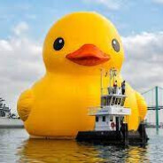 Big Duck Energy