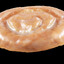 honey bun