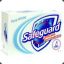 MR.SAFEGUARD