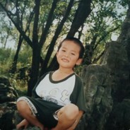 八里河   陈新诚