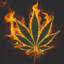 Blaze 420