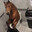 dim dim the dark horse